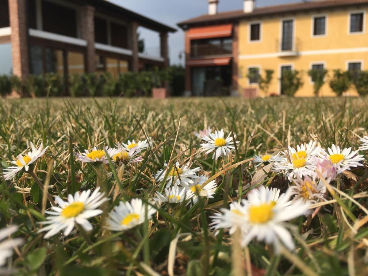 Casa Lidia - Alloggi Smart Breganze Buitenkant foto